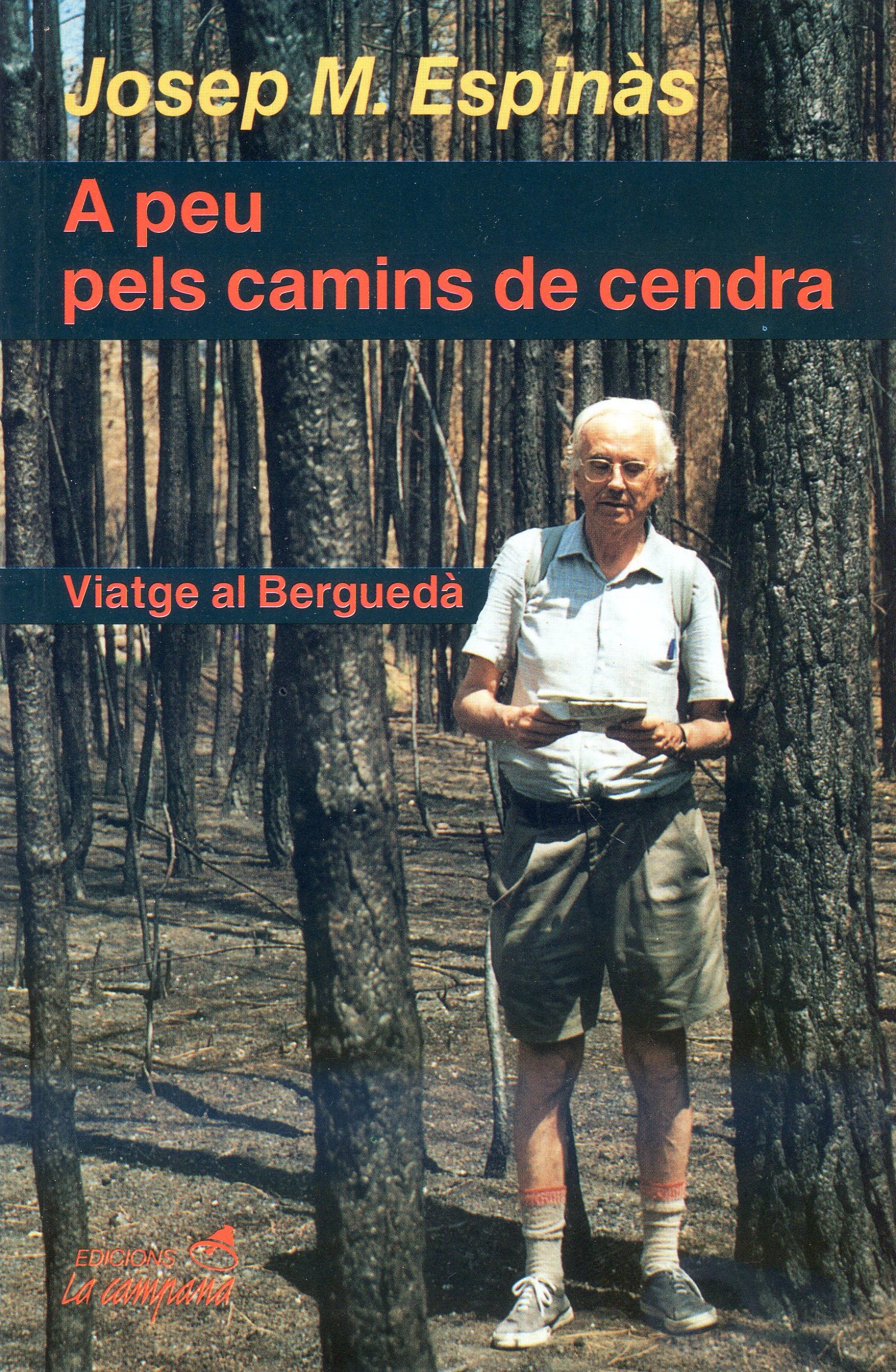 A peu pels camins de cendra - Portada